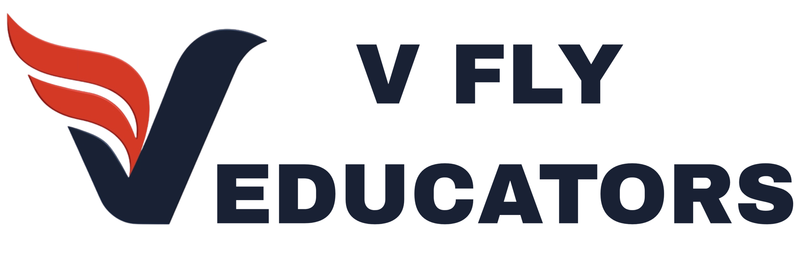 V FLY EDUCATORS 3